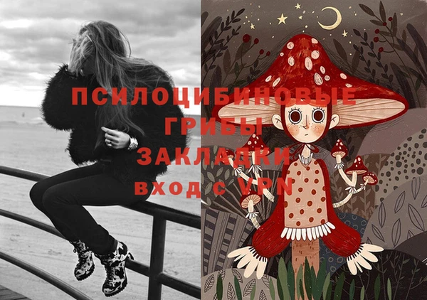 ПСИЛОЦИБИНОВЫЕ ГРИБЫ Пересвет